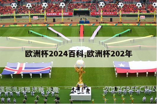 欧洲杯2024百科,欧洲杯202年