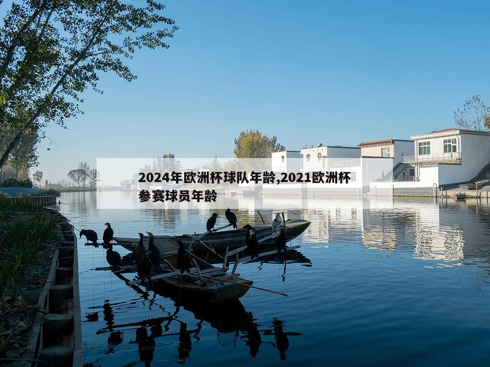 2024年欧洲杯球队年龄,2021欧洲杯参赛球员年龄