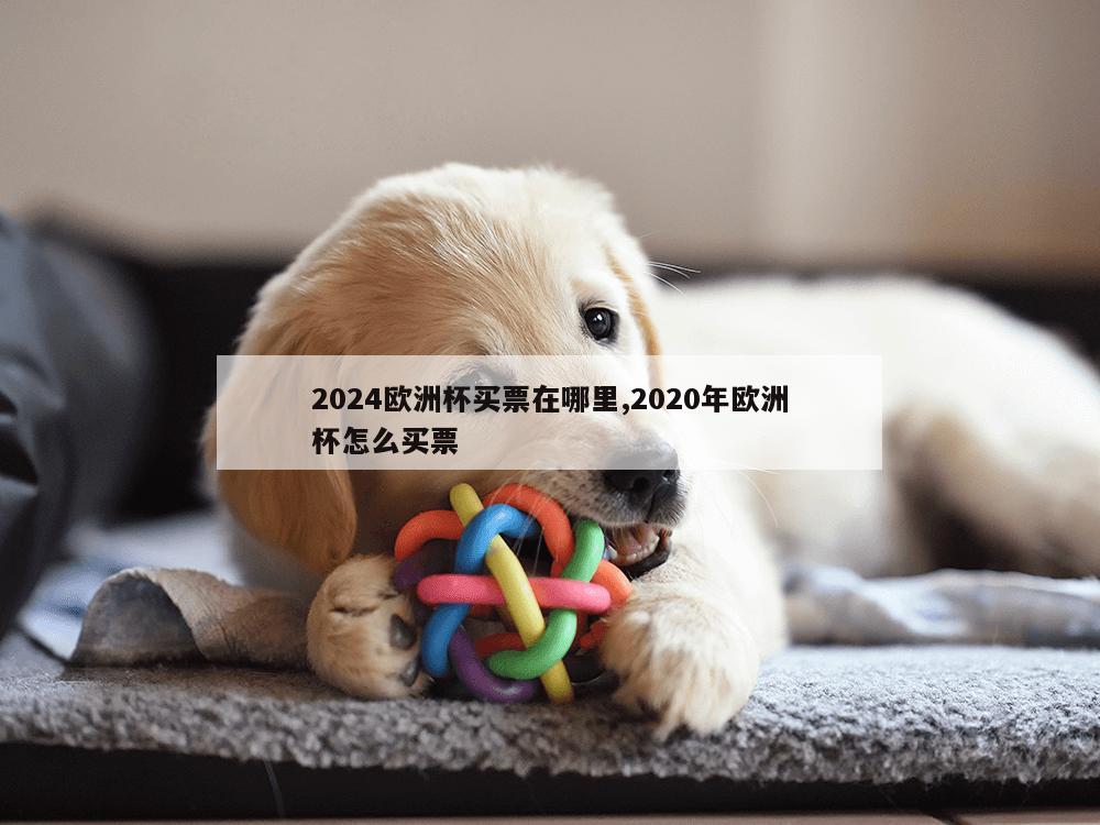 2024欧洲杯买票在哪里,2020年欧洲杯怎么买票