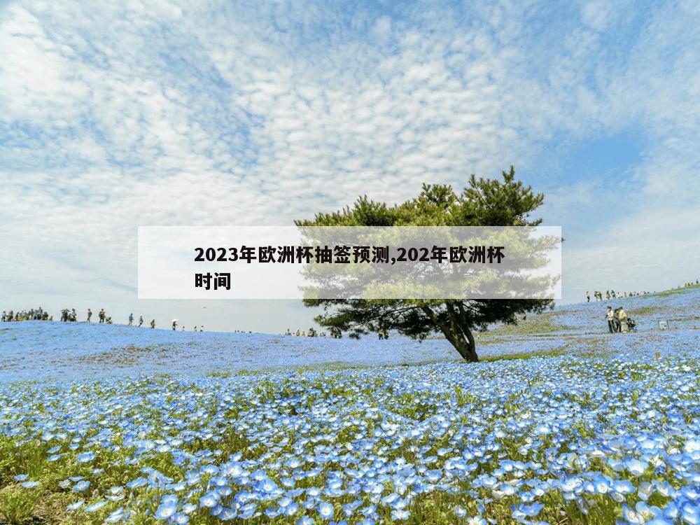 2023年欧洲杯抽签预测,202年欧洲杯时间