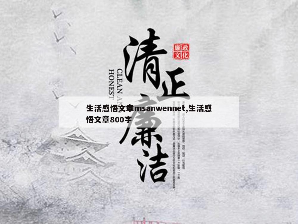 生活感悟文章msanwennet,生活感悟文章800字