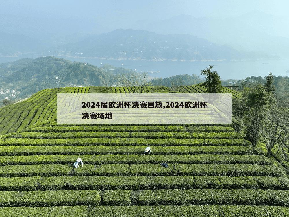 2024届欧洲杯决赛回放,2024欧洲杯决赛场地