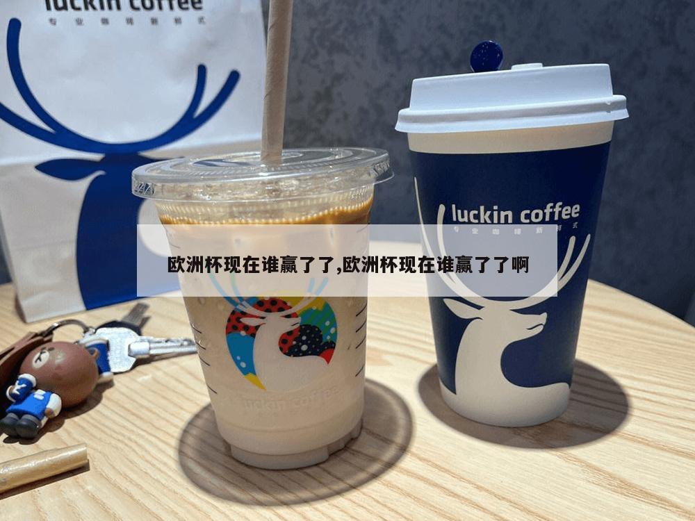 欧洲杯现在谁赢了了,欧洲杯现在谁赢了了啊