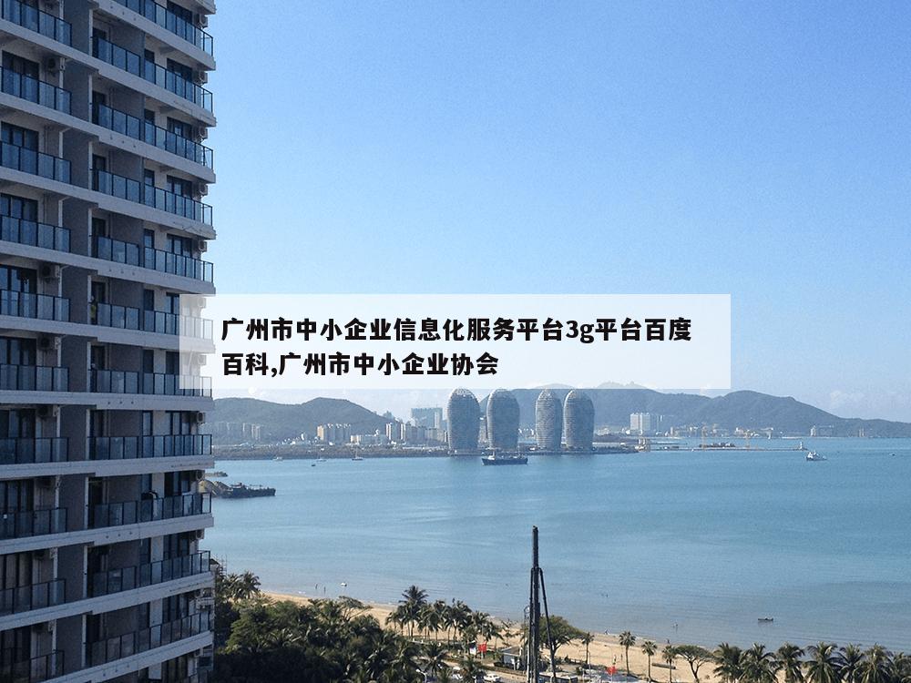 广州市中小企业信息化服务平台3g平台百度百科,广州市中小企业协会