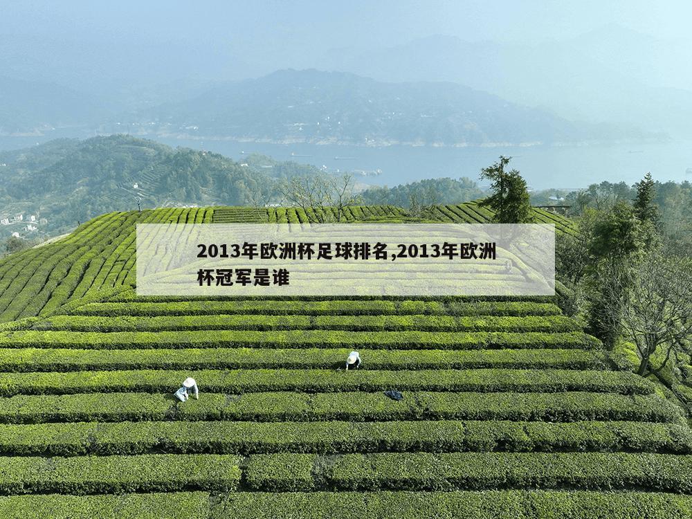 2013年欧洲杯足球排名,2013年欧洲杯冠军是谁